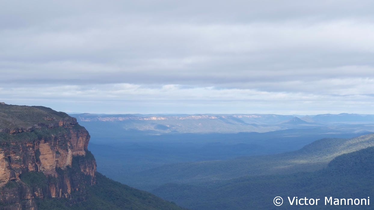 Gorge verdoyante sur le Grand Canyon Track